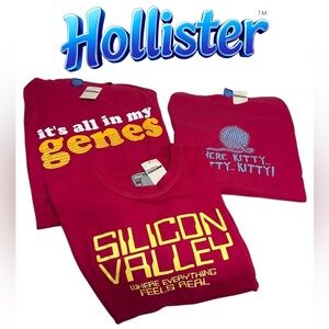 👕🩷 3 men’s brand new Hollister graphic Tees size medium XL